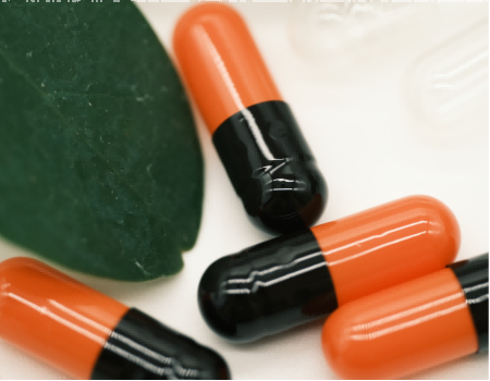Halal Empty Capsules 2